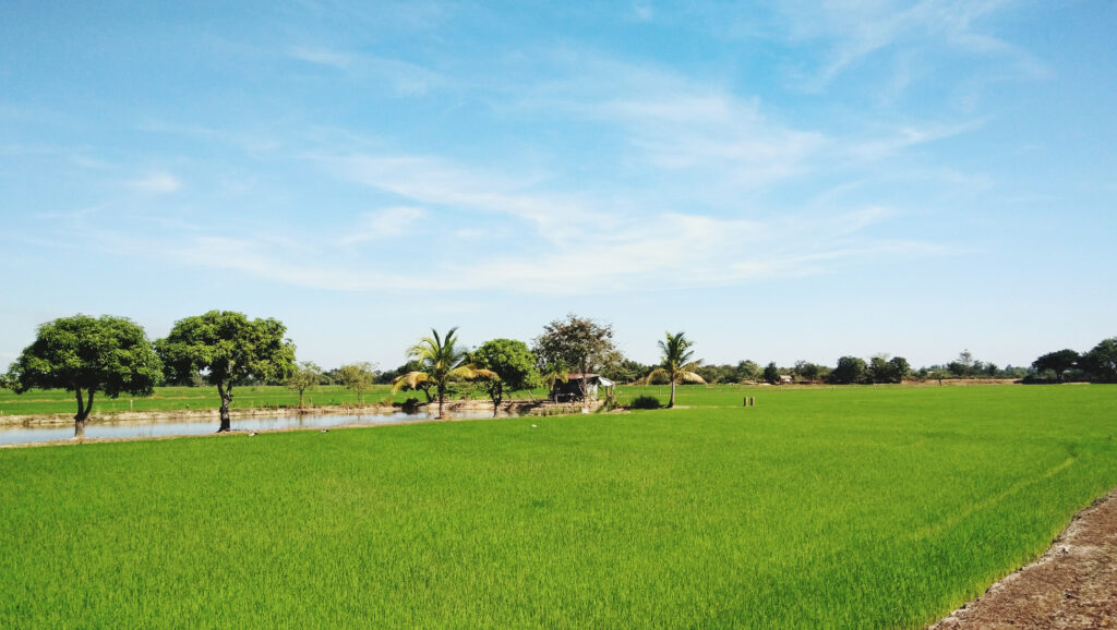farm-house-land-for-sale-in-rewari-1730194015078